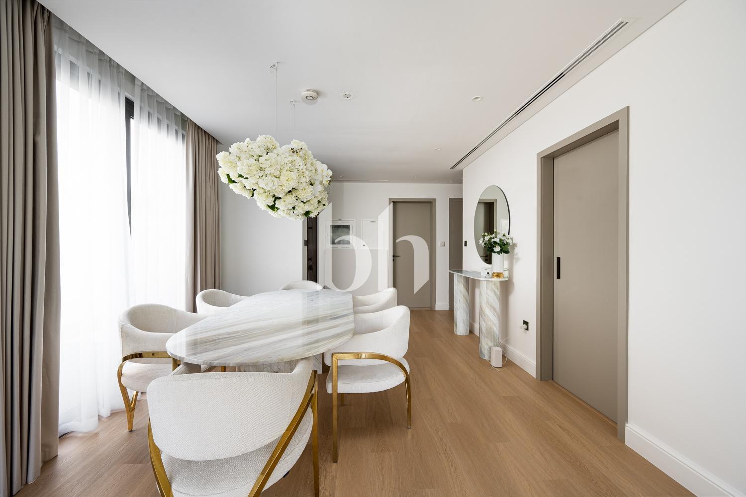 Aura 1 — photograph 3