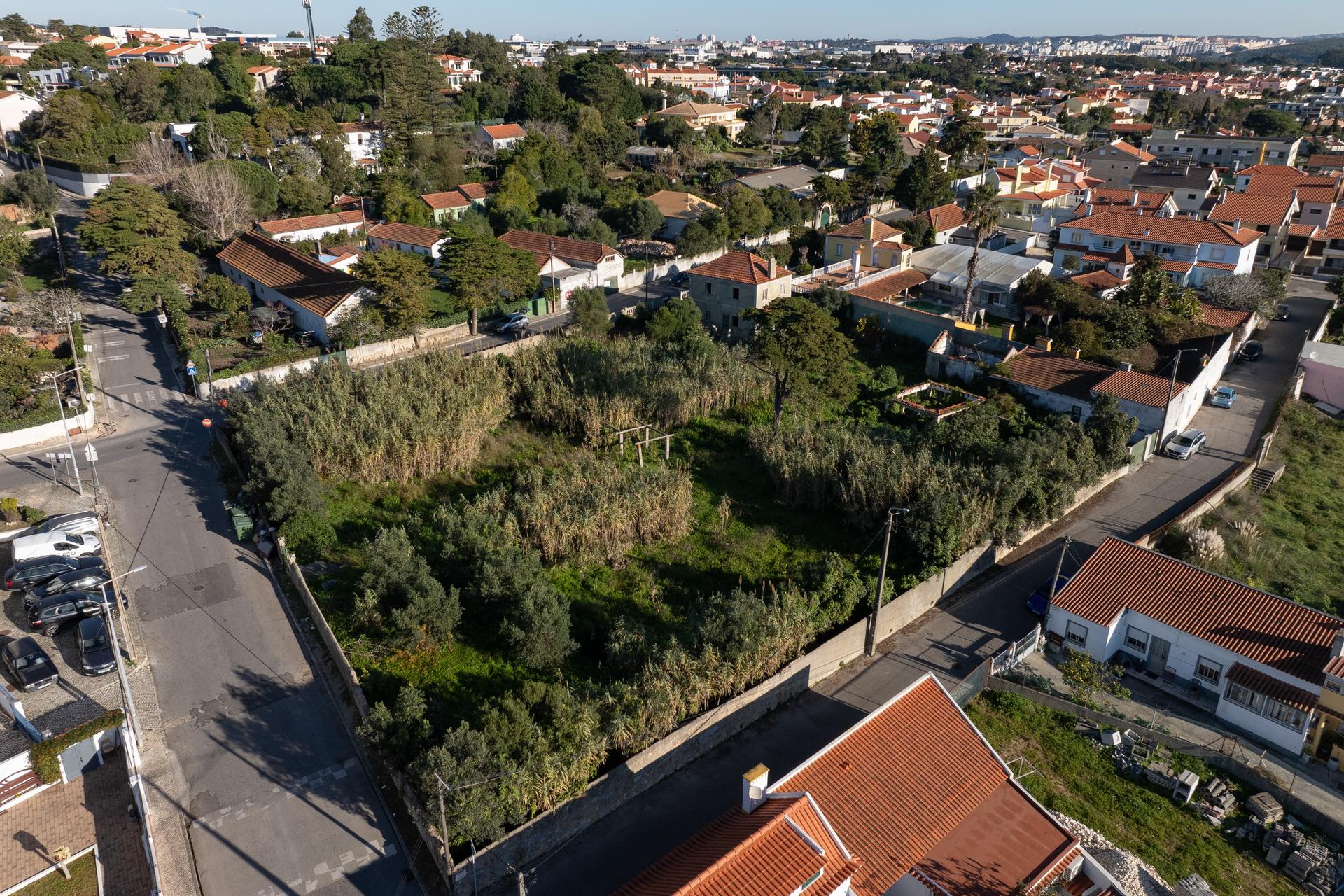 Land in Sintra — photograph 3