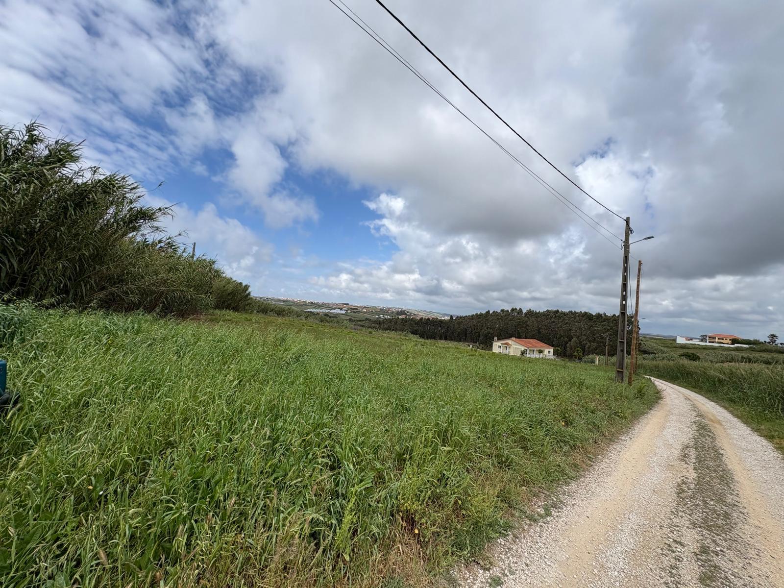 Land in Santa Cruz, Torres Vedras — photograph 3