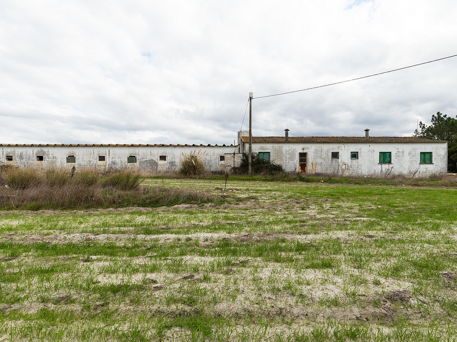 Country Estate in Odeceixe, Aljezur — photograph 5